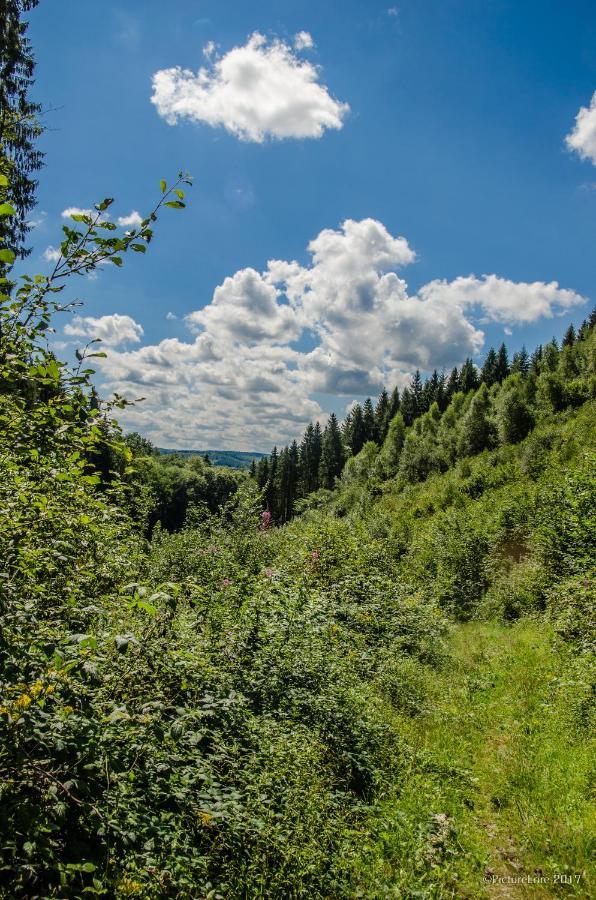 B&B Au Canard La-Roche-en-Ardenne Eksteriør bilde